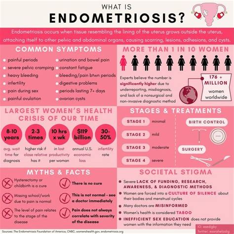 Endometriosis Awareness Month What We Should Know Paulette Magazine