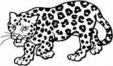 Leopard Coloring Pages Color Kids Clipart Snow Print Colouring Printable Cartoon Drawing Sketch Popular Template Search sketch template