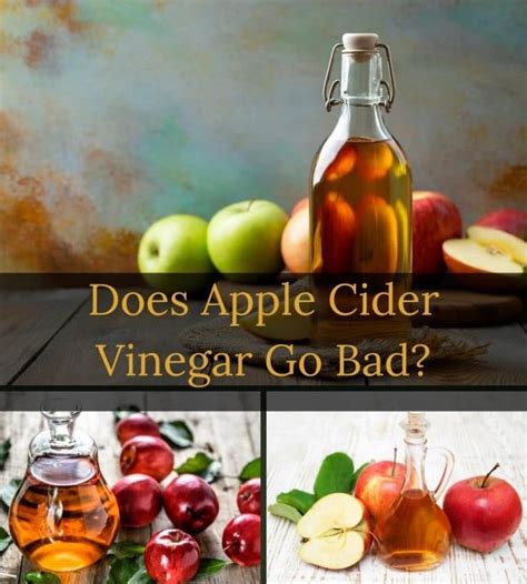 apple cider vinegar  bad  quick guide