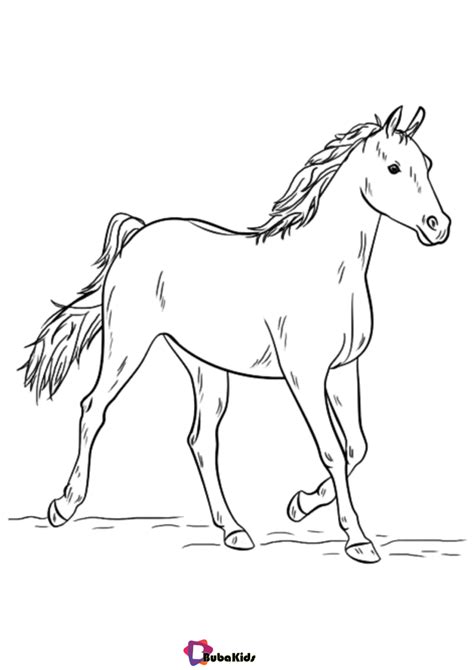 animal coloring pages horse coloring pages bubakidscom