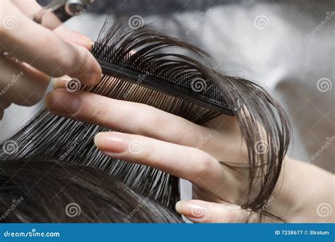 combing stock image image  haircutting female haircut