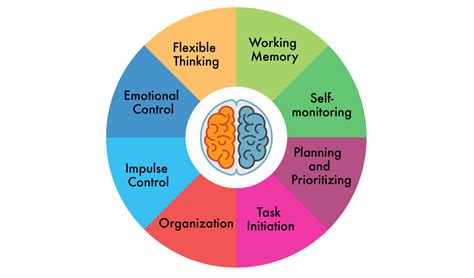 executive functions training microgate