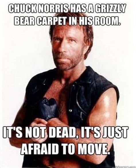 the top 20 funny viral videos of all time chuck norris memes chuck norris funny chuck norris