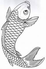 Koi Outline Fish Drawing Getdrawings sketch template