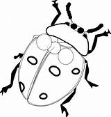 Ladybug Coloring Pages Printable Kids sketch template