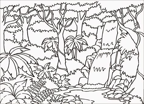 forest habitat drawing  getdrawings