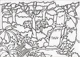 Habitat Drawing Forest Pages Coloring Rainforest Getdrawings sketch template
