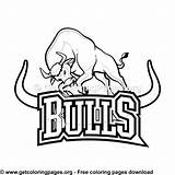 Bulls Colour sketch template