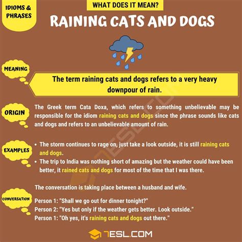 phrase raining cats  dogs
