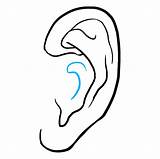 Ear Draw Drawing Easy Step sketch template