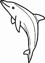 Coloring Dolphin Wecoloringpage sketch template