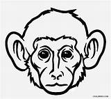 Monkey Face Coloring Drawing Pages Printable Realistic Kids Cool2bkids Monkeys Drawings Simple Getdrawings King Clipartmag Paintingvalley Clipart sketch template