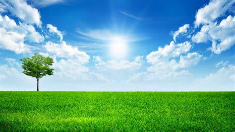 sunny bright day wallpapers hd wallpapers id