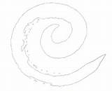 Spirale Tatuaggio Significato Wobba Simboli Simbolo sketch template