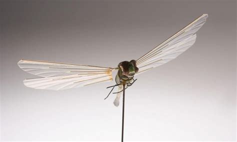 cias dragonfly drone  created    atwetalkuav drone shopping fashion