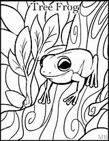 Frog Coloring Pages Adults Frogs Tree Color Getcolorings Printable Drawings sketch template