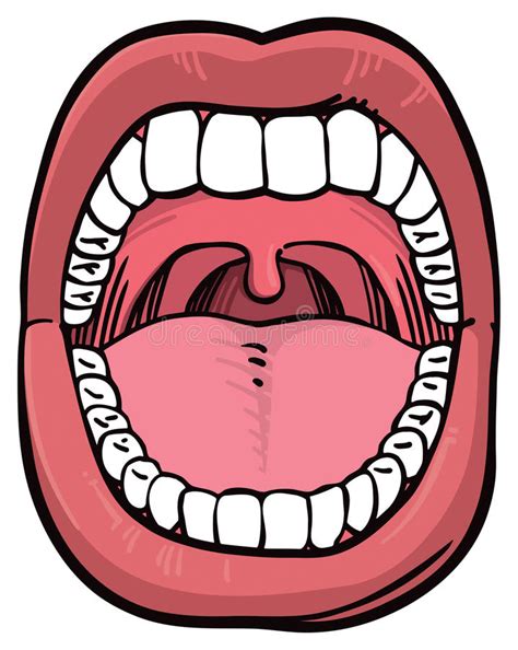 Open Mouth Stock Vector Illustration Of Wide Open