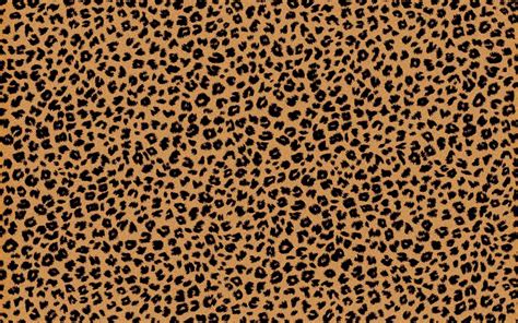 cheetah backgrounds pictures wallpaper cave
