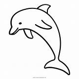 Delfino Delfin Colorare Dolphin Disegni Drawing Lumba Delfini Imagenes Animals Rosado Ultracoloringpages Animali Delfines sketch template