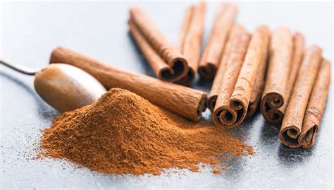cinnamon turns   heat  fat cells httpsdebugliescom