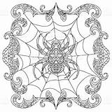 Zentangle Spinne Spin Farbtonseite Kleurende Geeksvgs Vektorgrafik Istockphoto Ausmalbilder sketch template