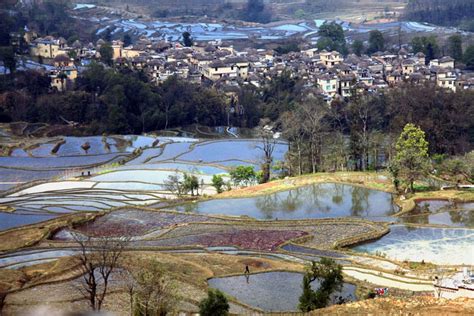 The Yuanyang Rice Terraces Best Times To Visit