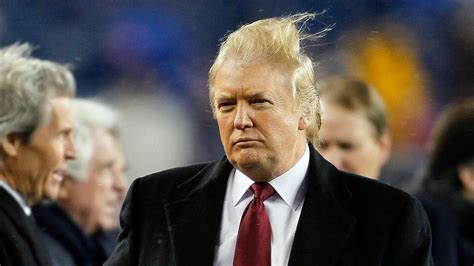 donald trump presidential hair apparent