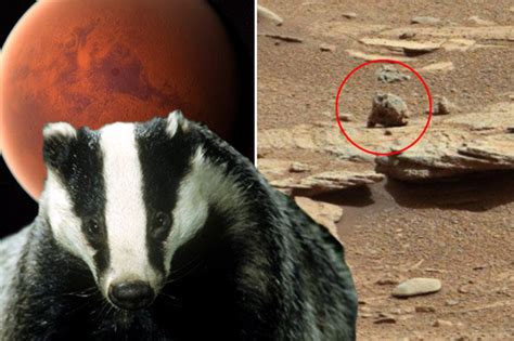 alien proof ufo hunters life on mars with space badger