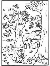 Herfst Eekhoorn Volwassenen Tekeningen Peuters Bovenbouw Uitprinten Knutselen Lente Jaar Mandala Activiteiten Bezoeken Printen Meiden Downloaden sketch template