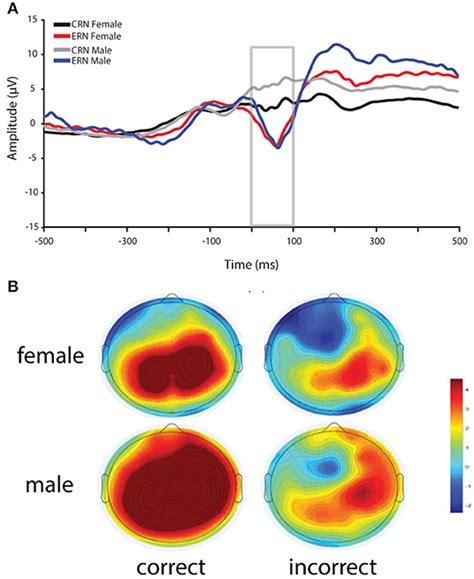 Frontiers Sex Differences In Anxiety An Investigation Of The