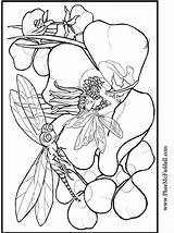 Coloring Dragonfly Pages Pheemcfaddell Craft Project Fairy Colouring Printable Books Tableau Choisir Un sketch template