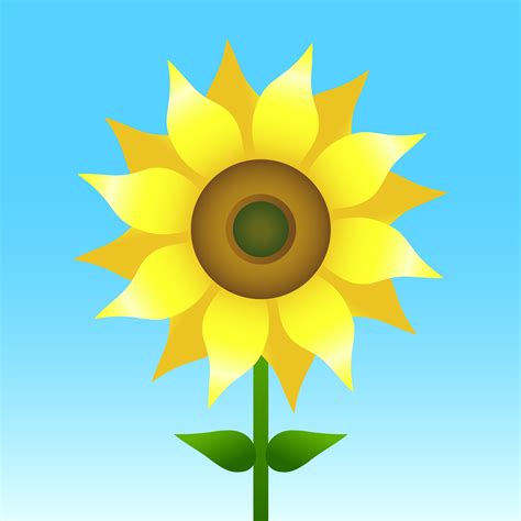 sunflower vector illustration  vector art  vecteezy