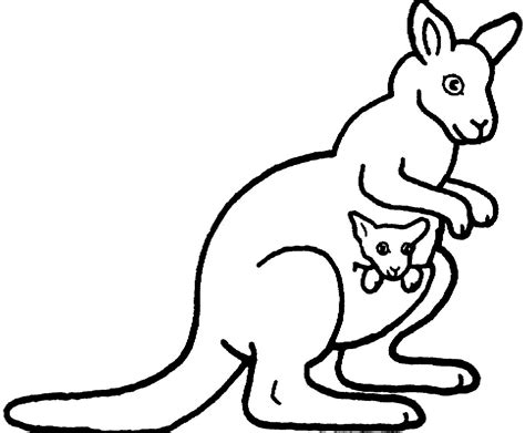 cartoon kangaroo drawing  getdrawings