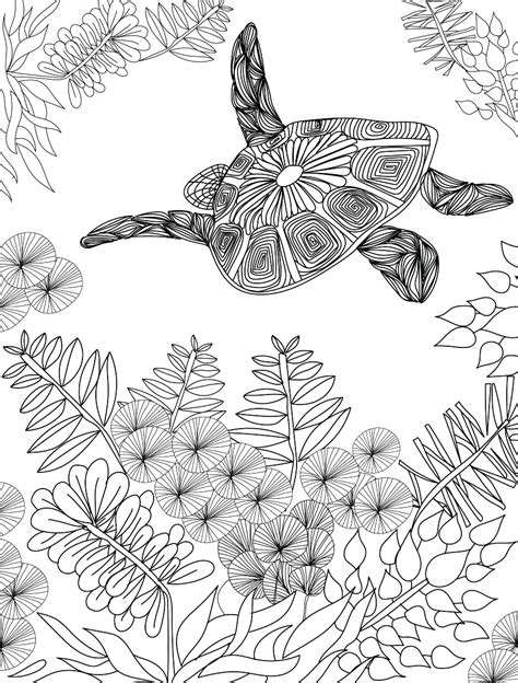 turtle adult colouring page colouring  sheets art craft art