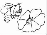 Bee Coloring Bumble Pages Bumblebee Outline Cute Queen Printable Colouring Clipart Wonderland Cliparts Color Clip Alice Bees Lkg Honey Kids sketch template