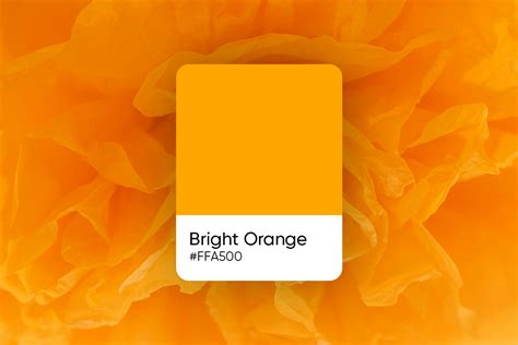 bright orange shades palettes similar colors picsart blog