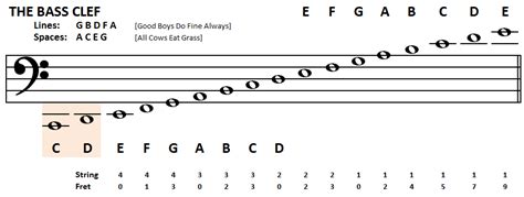 playing bass learn  read bass notes  bass clef