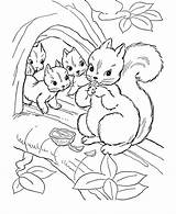 Coloring Pages Squirrels Squirrel Color Kids Printable sketch template