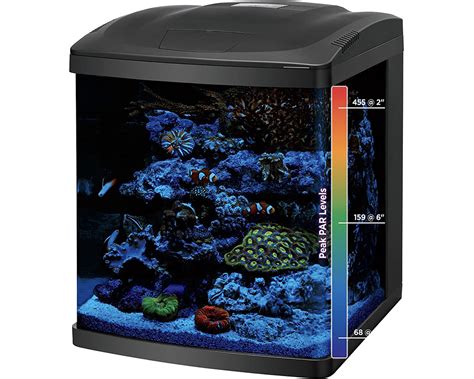 coralife  gallon led biocube aquarium fish tank kit