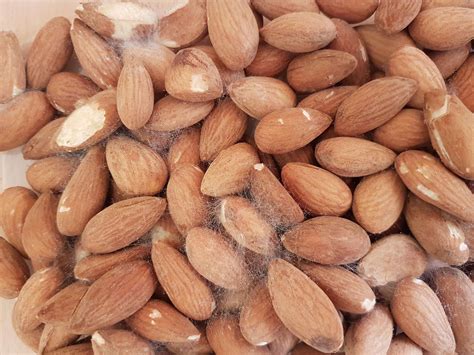 food safety  happened   soaked almonds seasoned advice
