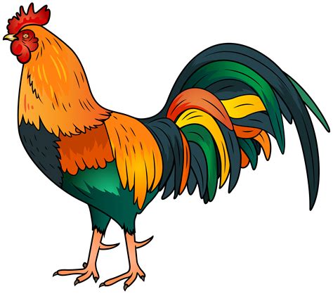 rooster clip art pictures clipartix