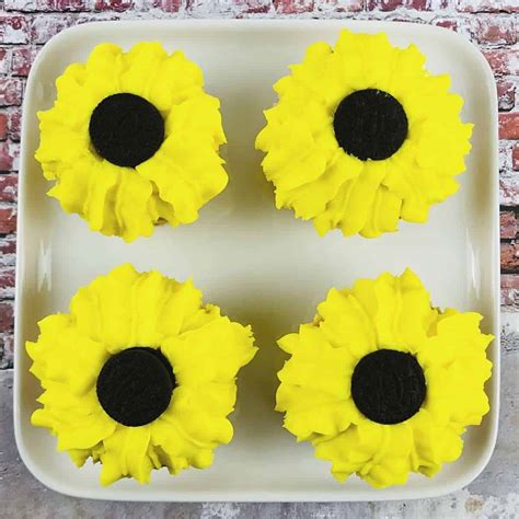easy sunflower cupcakes diy  fun