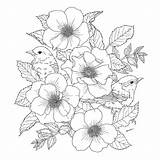 Flowers Birds Flower Coloring Drawing Paradise Pages Bird Adults Stress Book Books Adult Drawings Aliexpress Sketches Anti Chinese Printable Colouring sketch template