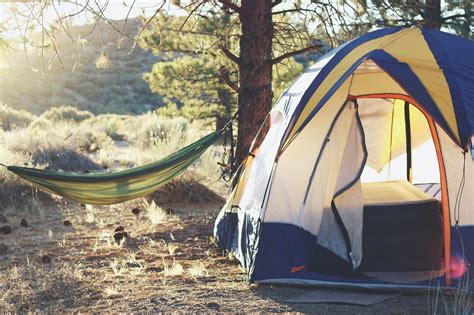 find  dispersed camping  national forests