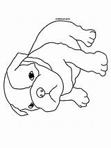 Pug Pitbull Drodd Pets sketch template