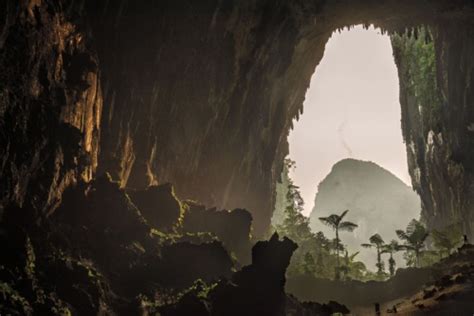 世界最大級！ボルネオ島洞窟探検記 ナショナルジオグラフィック日本版サイト