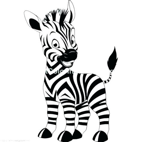 realistic zebra coloring pages  getcoloringscom  printable