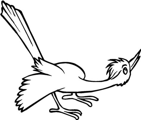 cuckoo bird  curious   coloring pages coloring sky