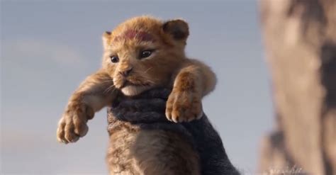 comparison   lion king  trailer   original    feel nostalgic af