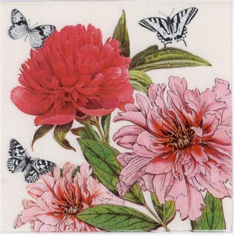 decorative paper napkins  butterfly  peony luncheon poppy